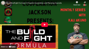 The Build & Fight Formula #8: People's Assemblies & Planning Councils